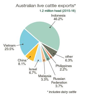 Australia exports 74% of its total beef