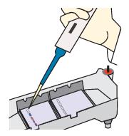 Make sure that the entire amount of sample is uniform before loading the gel.