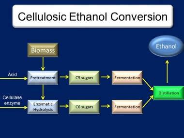 Slide 7 The final products are the methyl or ethyl esters that are created (biodiesel) and the glycerol. Glycerol is used to make soap, paints, resins.