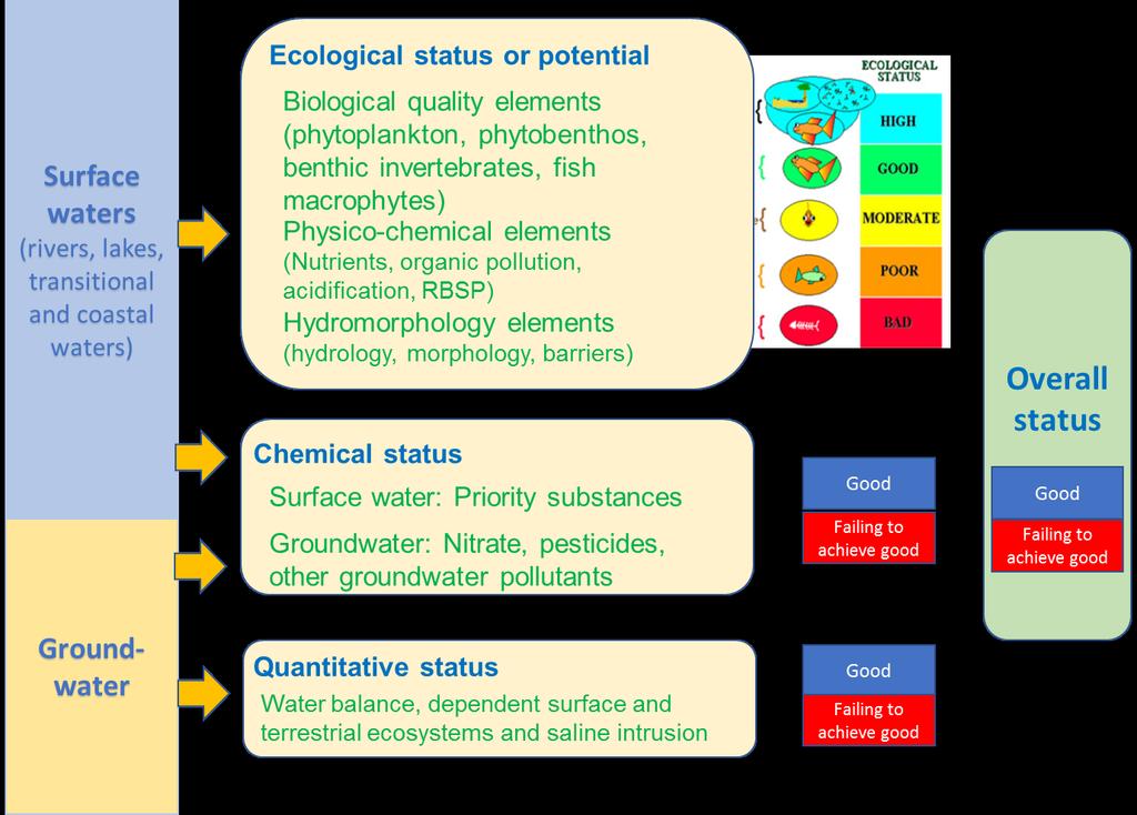 All status (ecological, chemical and quantitative)