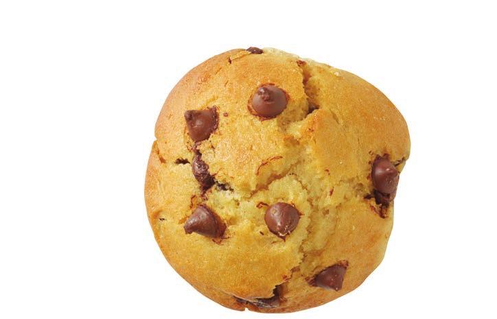 Muffin Break s systems for diversified matters such as reporting, insurance, accounting practices, purchasing, hiring and training new staff, cost control, advertising, merchandising and other