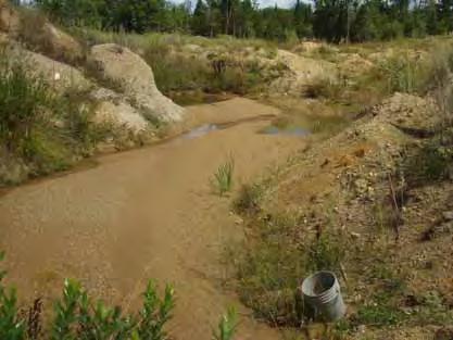 Industrial Sources of Stormwater: Pollutants and Problems Increased sediment affects aquatic habitats and