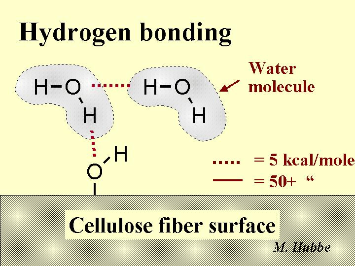 Dimensional changes at the cell-wall level Water molecules may bond with free OH-groups in wood but may also break existing OH-bonding among/between wood constituents During drying these bonds are