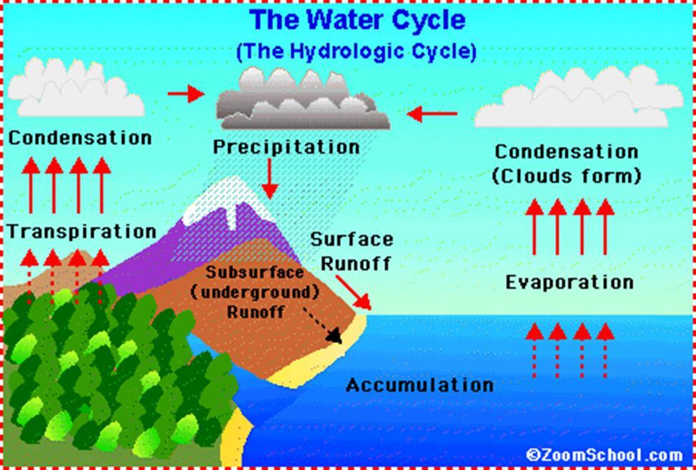 About 90% of water vapor evaporates from oceans, lakes, and rivers.