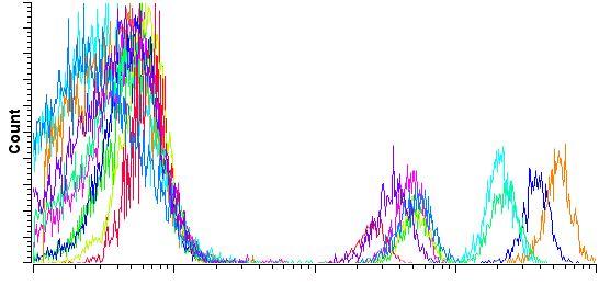 Fluorochrome Intensity CD4 FITC = Green PE = Dark Blue PE-TR = Light blue PerCP-Cy5.