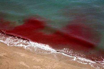 biological conditions due to "Red Tide" issues