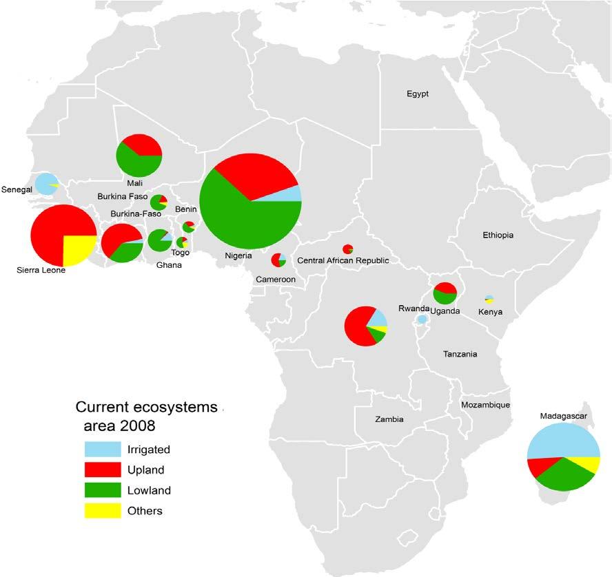 Total area under rice cultivation by ecology Data Source: ERIP project except for Mali (from STRASA