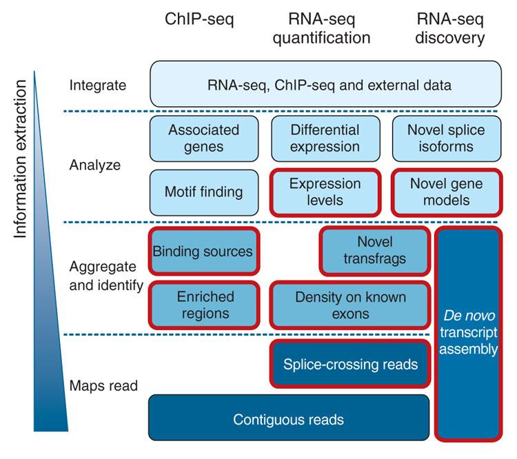 Goals of RNA-seq Study Catalogue all species of transcript including: mrnas, non-coding RNAs and small RNAs Determine the transcriptional structure of genes in terms of: Start sites 5 and 3 ends