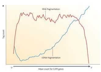 In contrast to small RNAs (like mirnas) larger RNA must be fragmented RNA fragmentation or cdna fragmentation (different techniques) Types of bias: RNA: depletion for ends cdna: biased 5 end Zhong