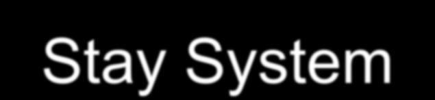 Stay System 7-Wire parallel strand