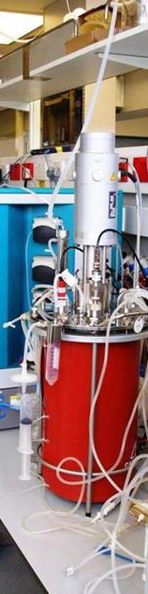 Process development Upstream Chemically defined cell culture media, animal component free Laboratory scale bioreactor development proven to scale from 200L through to 20,000L Productivity increased