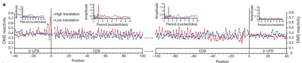 Results Averaging DMS reactivity along the CDS across mrnas in this dataset reveals a periodic trend Discrete Fourier