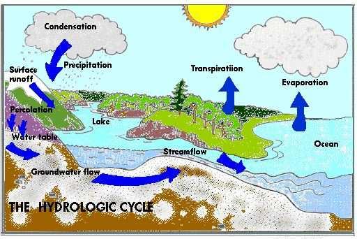 The HYDROLOGIC CYCLE maintains