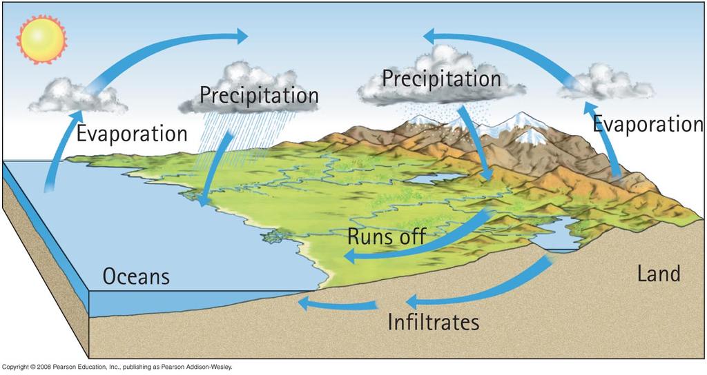 The Hydrologic Cycle Recall: Earth s waters are constantly circulating.