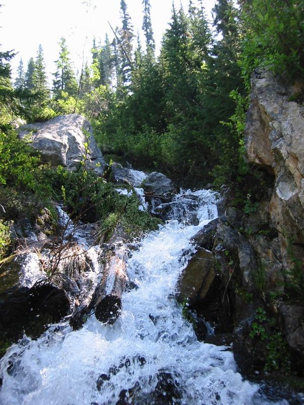 When it rains, the water table can change dramatically. The flow of a stream will increase during/after a storm even though there is little runoff.
