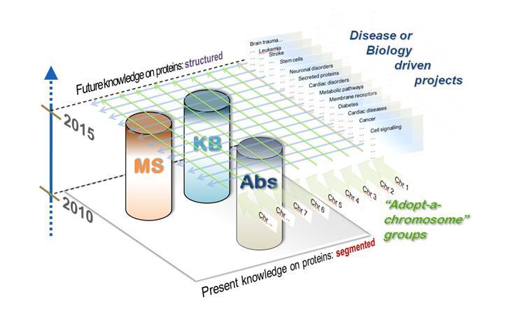 The Human Proteome Project (HPP) Mass