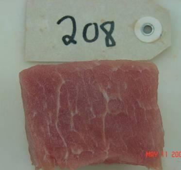The tissue sample (Figure 4) was trimmed so as to not contain loin muscle ends and was approximately 1 in. thick, 2.5 in. wide and 2 in. high.