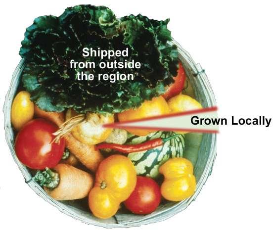 Illinois Local Food Sales Source: The Local Market Opportunity for