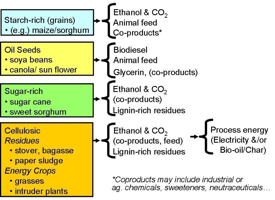 Evolutionary transition to cellulosic biofuels production Evolutionary path to complement food production with