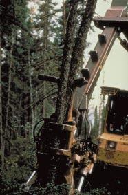 The greater the rights granted to private forest companies, the less flexibility the public retains to meet the needs of all forest users or to invoke changes in land use.