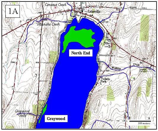 Figure 1A - Location of the major watermilfoil beds in the lake. A. The large bed off Sand Point in the north end.