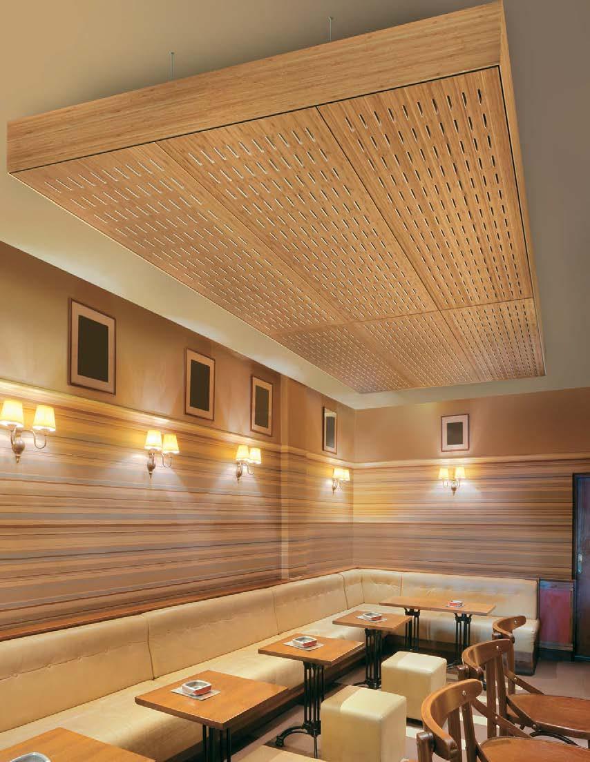 CEILING SYSTEMS