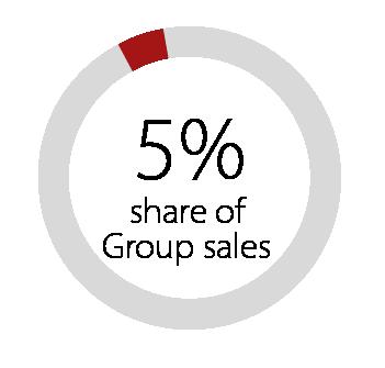 Group sales 24% Share of Group