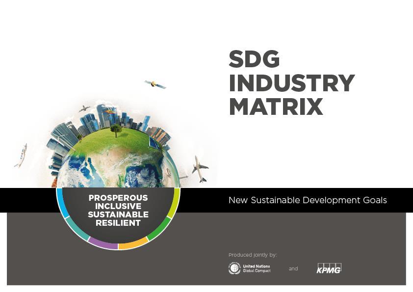 The SDG Industry Matrix: Principles,