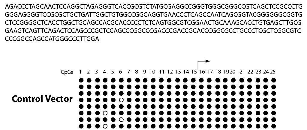 E-Cadherin gene TSS Epithelial-like EMT-cells 10 clones 10 clones