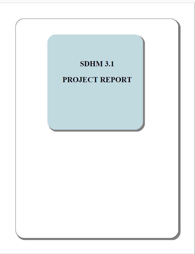 SDHM Application: Step 10 Project Report summarizes statistics