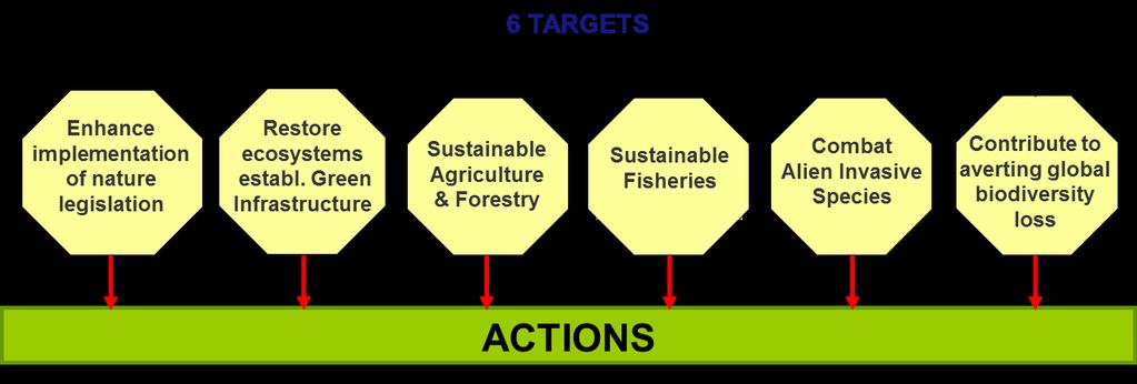 EU biodiversity strategy to 2020 "Our life insurance, our natural capital" A 2050 VISION European Union
