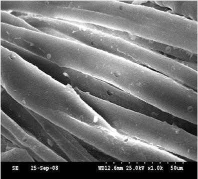 76 4.6 CHARACTERIZATION OF NANO SILICA COATED FABRICS Figure 4.9 show that the SEM image of microencapsulated nano silica coated cotton fabric.
