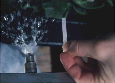 Wash Water Quality Wash water must be properly chlorinated to keep it safe and