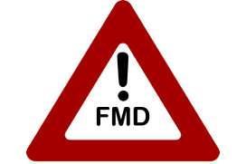 concerned about FMD, a
