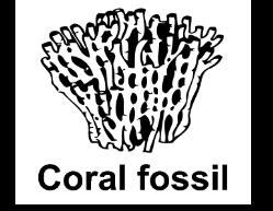 Part B Select two fossils that would provide supporting evidence for this past environment if found in the desert. A. This answer is not correct.