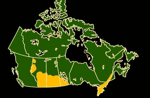 Map of Canada & Canola Growing