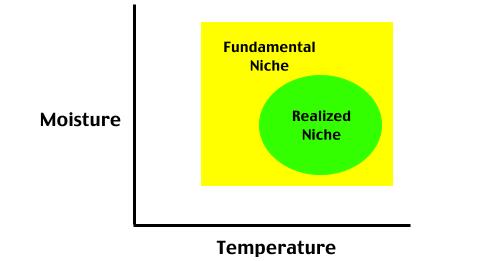 Niches A niche is different than a habitat.