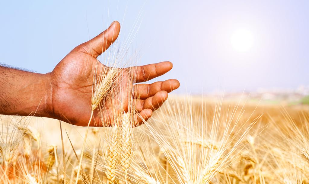 WHY INVEST WITH US? As a market leader in specialised commercial farmland asset management in Africa, we are well positioned to advise on your African Agri-Investment needs.