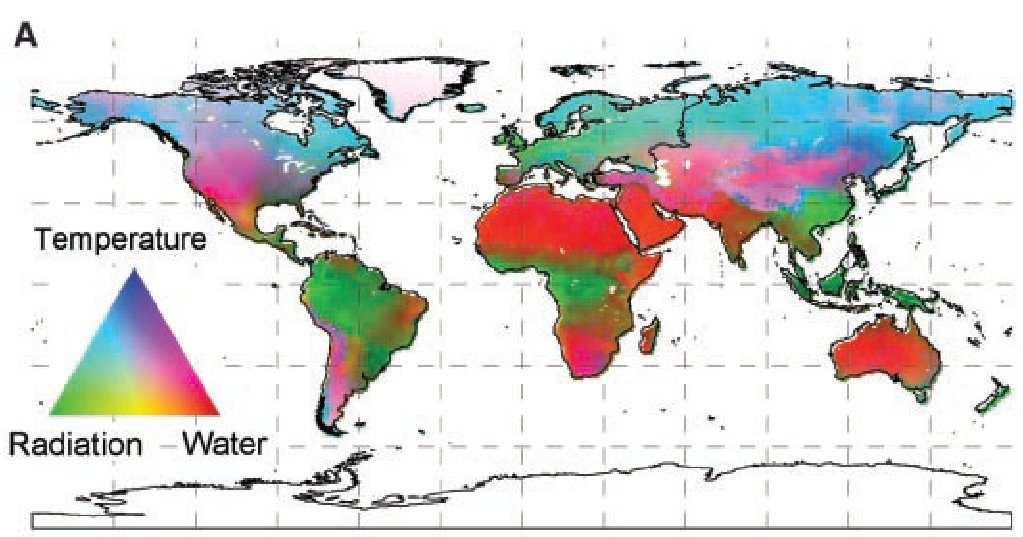 Water; primary potential climatic constraint to plant growth (4% of Earth's Terrestrial Surface) Outline: EO-based Canopy Water Stress detection In situ measured