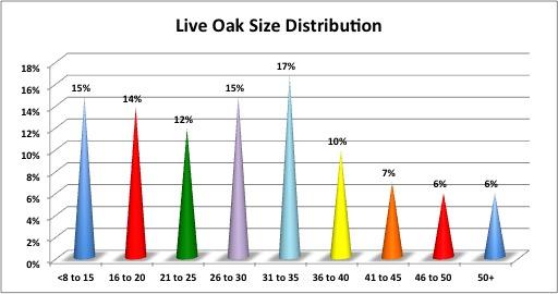 Live Oak Age Distribution -- Because the live oak was the predominant tree found in the survey on the public right-of-way, We analyzed the DBH of the live oak population (Figure 7).