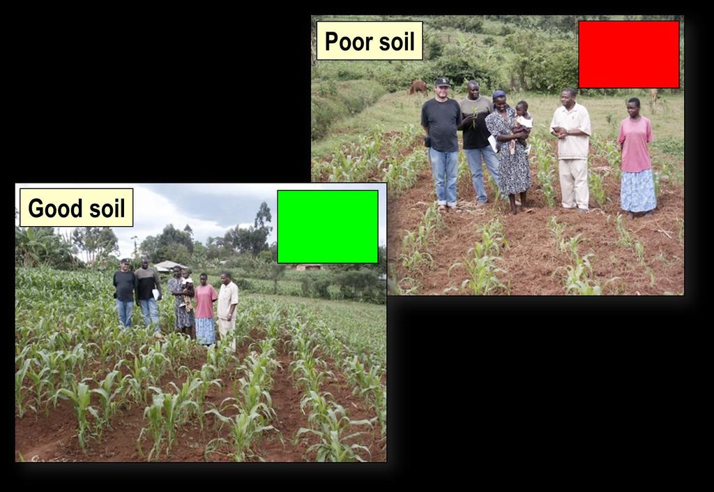 Variability in soil