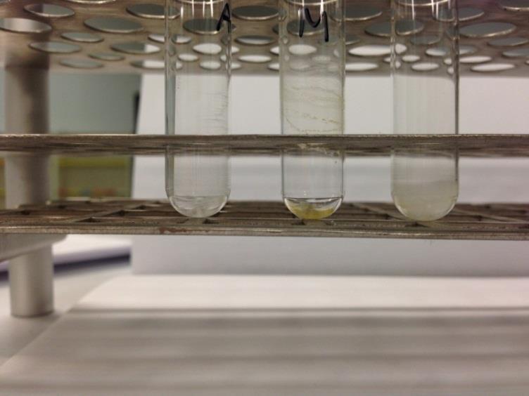 left to right, ACN + 2% NH 4 OH,