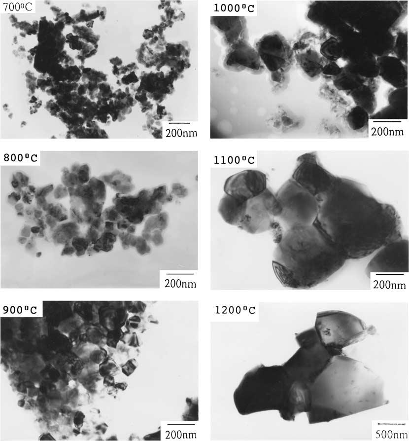 Figure 4 Transmission electron micrographs of calcined BaTiO 3 powders. than 30 nm at frequencies above 100 khz were smaller, because the crystallite phase was paraelectric cubic.