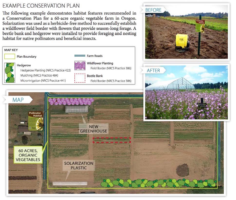 Pollinator Conservation Plans Xerces offers technical assistance
