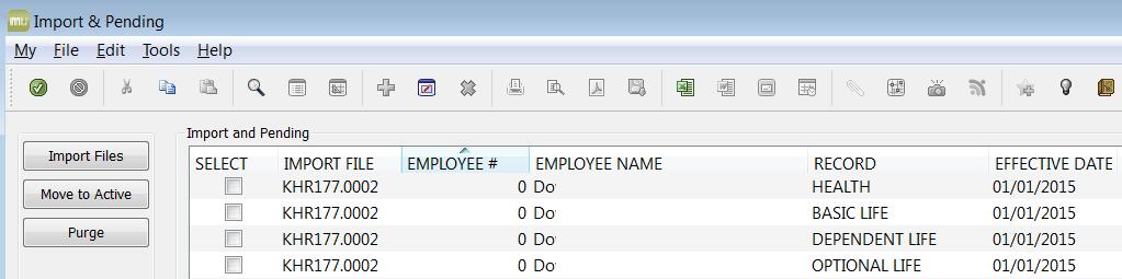 Viewing Import Records The screenshot below is an example of what the screen will look like if records were imported without an Employee Master record in Munis: The zero employee