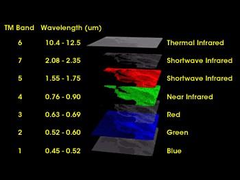 Vegetation indices Band ratio B5/B7 Normalized Difference Infrared Index (NDII) (ρ NIR ρ SWIR(5) ) /(ρ NIR +ρ SWIR(5) )