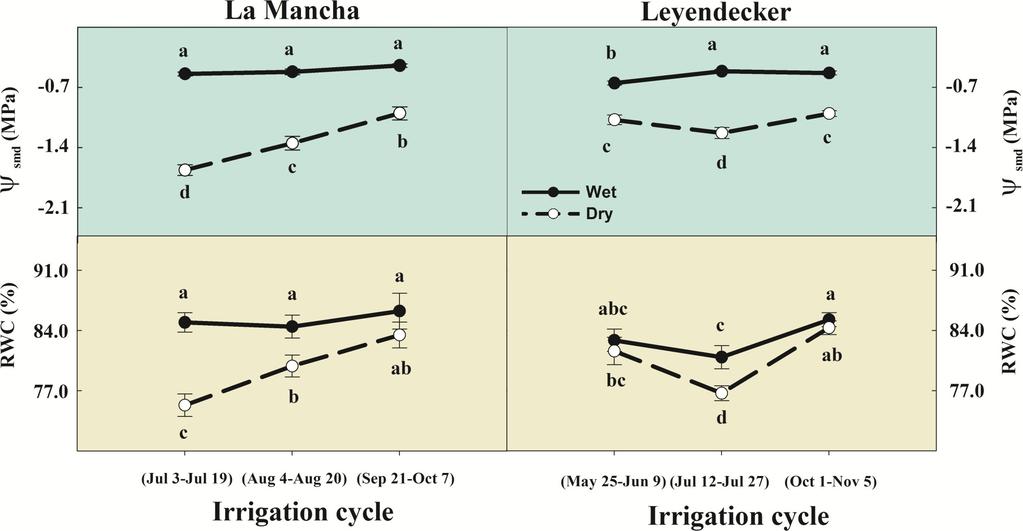 Screen leaf-level physiological variables Midday stem water potential (Ψ smd ),and relative water content (RWC) of La Mancha and