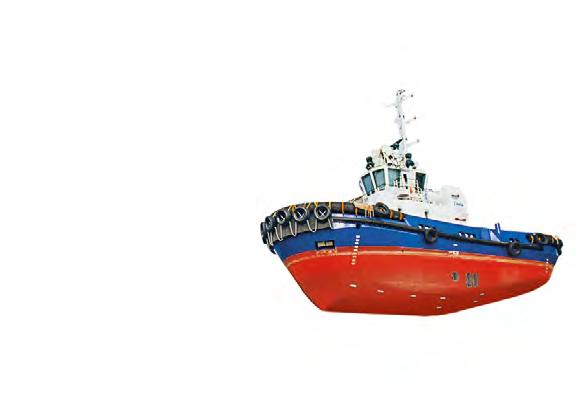 4% share of DeloPorts in dry cargo transhipments at Novorossiysk port in 2017 6.