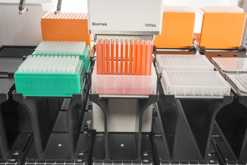 The kit produces a high recovery of DNA for downstream applications such as agarose gel analysis, PCR amplification, restriction enzyme digestion, human identity testing, membrane hybridizations (e.g., Southern and dot/slot blots), AFLP, RFLP, RAPD, microsatellite and SNP analyses (for genotyping, fingerprinting, etc.