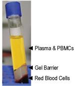 Notes 2. Collect the blood samples by venipuncture using standard blood drawing procedures. Immediately invert the Lithium Heparin tube 8-10 times to ensure complete mixing.